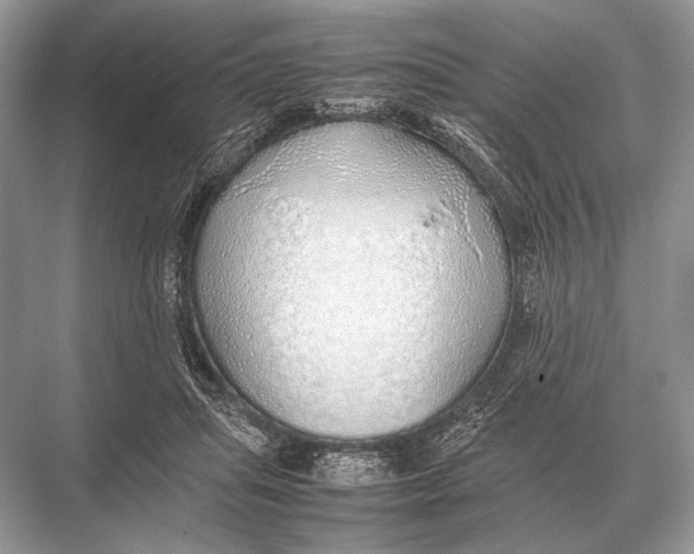 X0000067870455200605041811