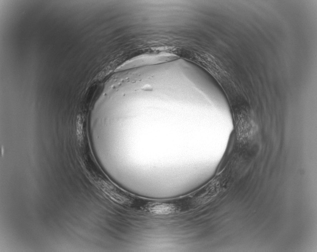 X0000067870456200605041811