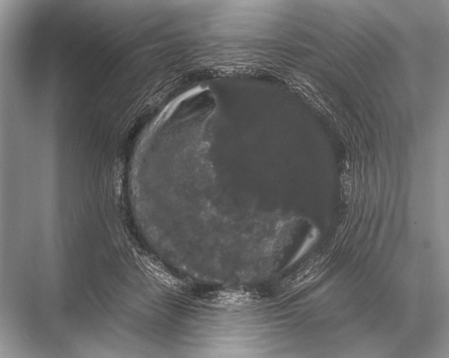 X0000067870458200605041811