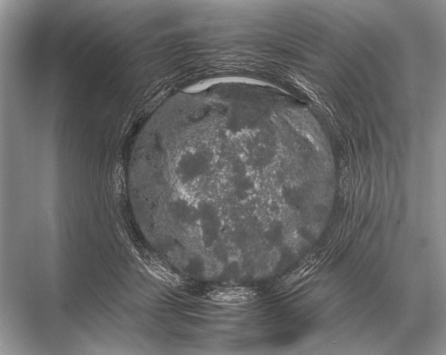 X0000067870459200605041811