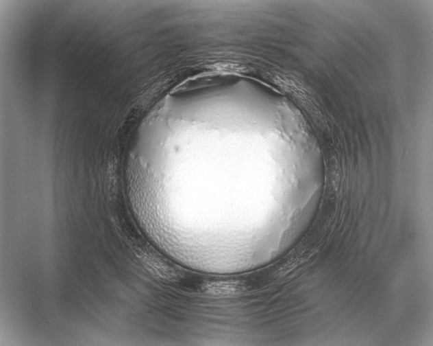 X0000067870461200605041812