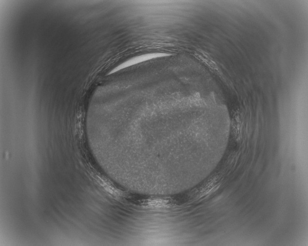 X0000067870462200605041812