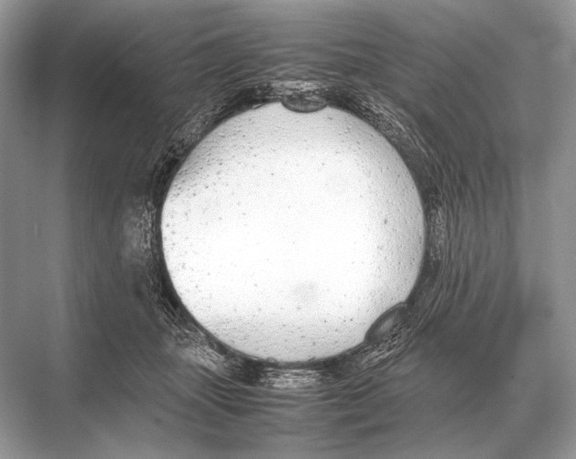 X0000067870463200605041812