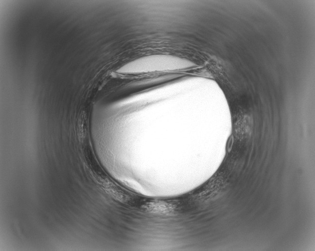 X0000067870464200605041812