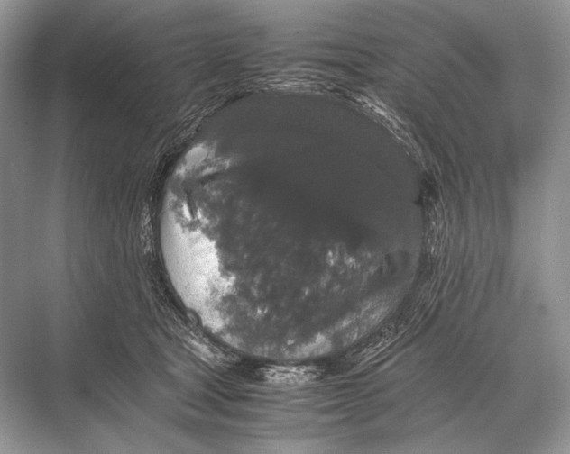 X0000067870465200605041812