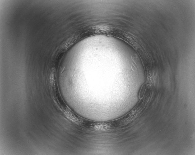 X0000067870468200605041812