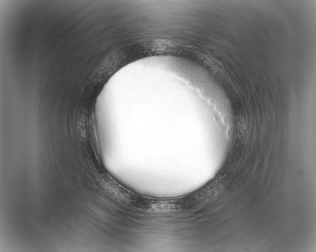 X0000067870470200605041812