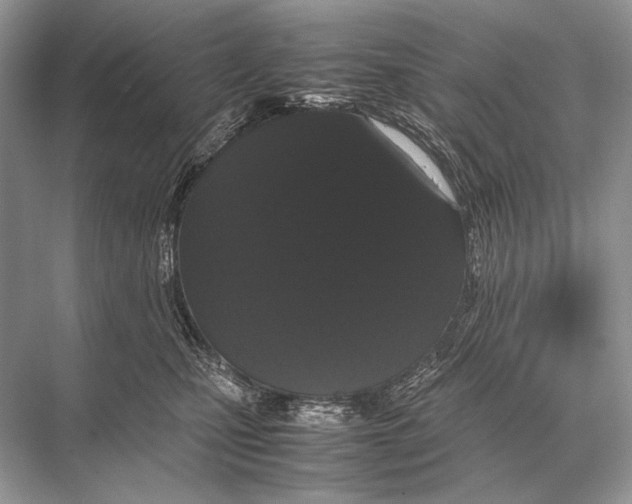 X0000067870471200605041812