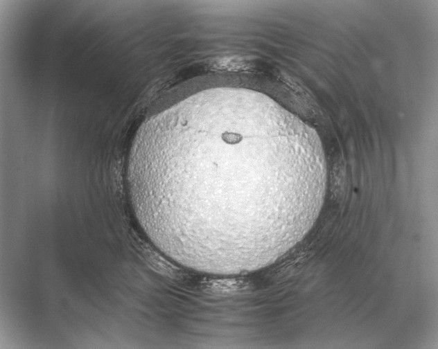 X0000067870473200605041812