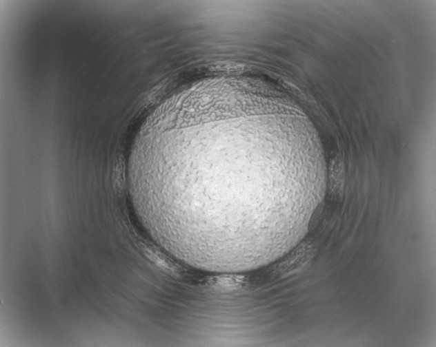 X0000067870474200605041812