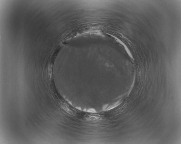 X0000067870475200605041812