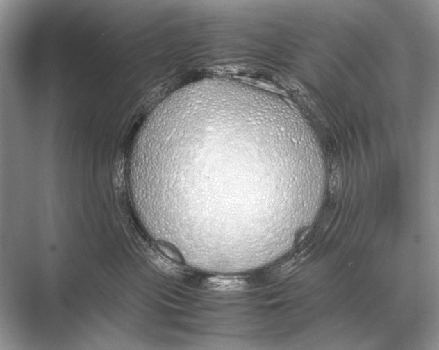 X0000067870477200605041812