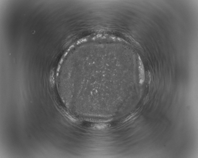 X0000067870479200605041812