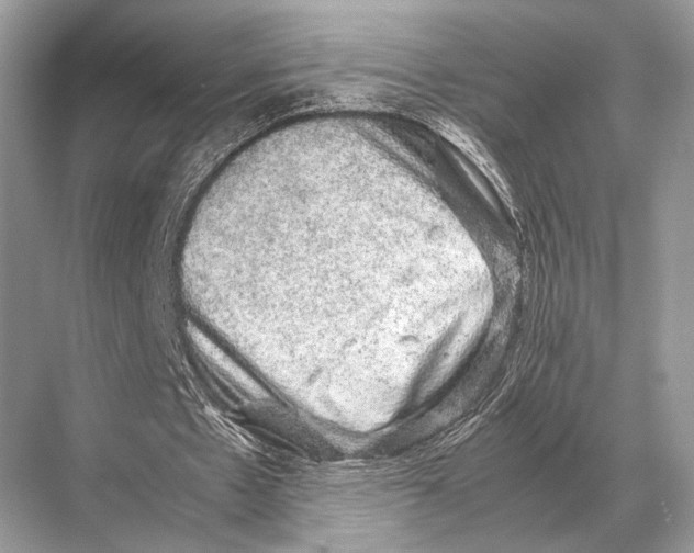 X0000067870481200605041811