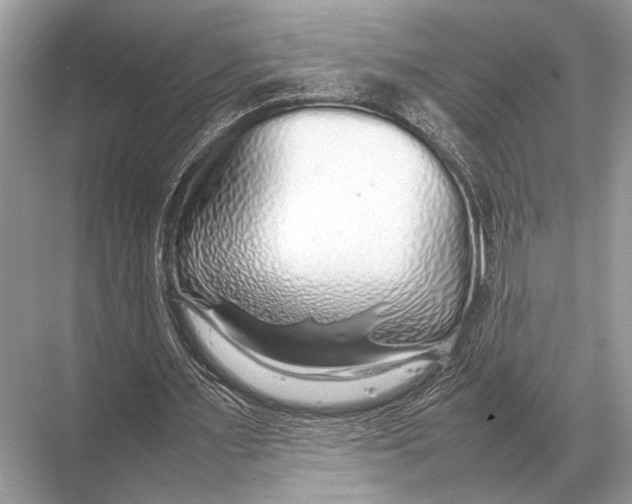 X0000067870483200605041811