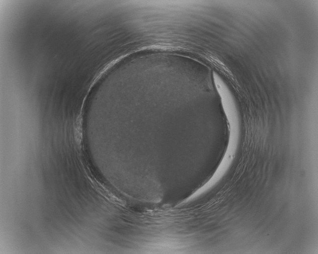 X0000067870484200605041811