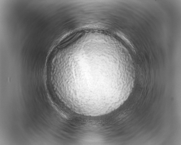 X0000067870486200605041811