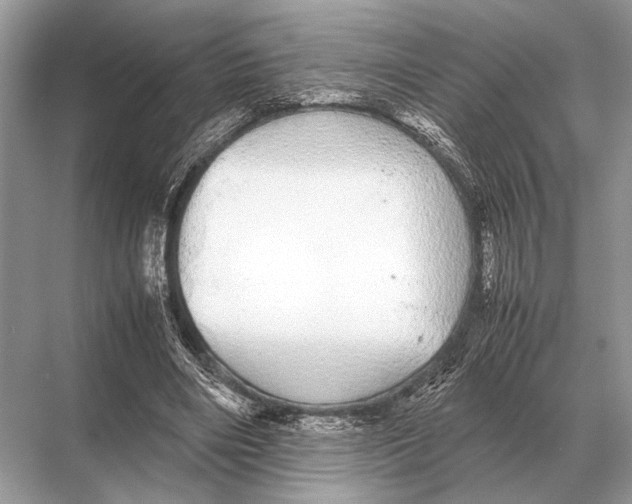 X0000067870490200605041811