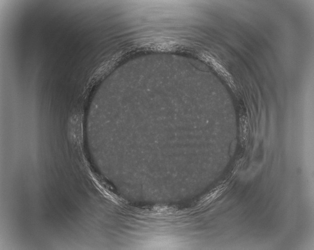 X0000067870493200605041811