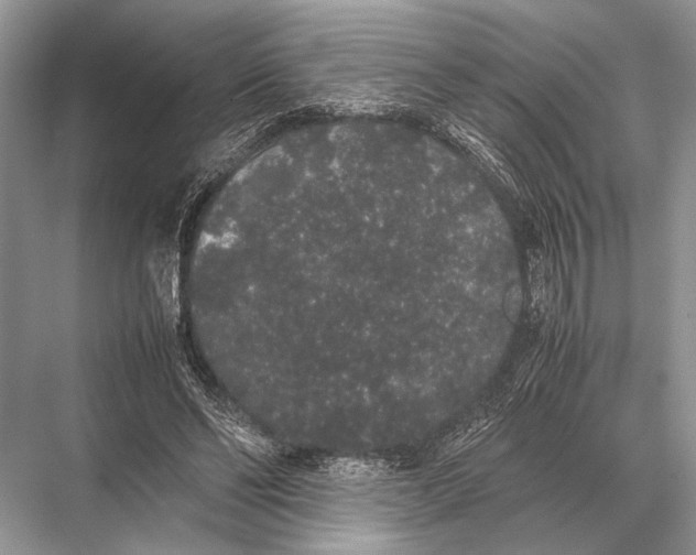 X0000067870494200605041811