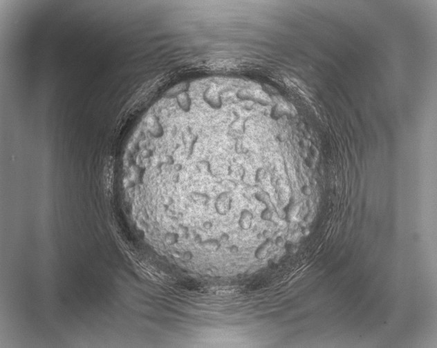 X0000067870495200605041811