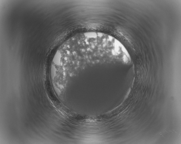 X0000067870496200605041811