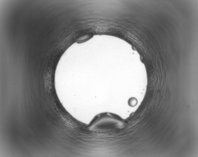 X0000067870497200605041811