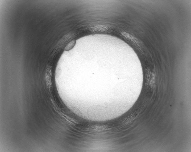 X0000067870498200605041811