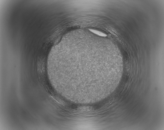 X0000067870499200605041811