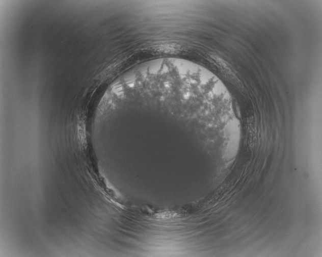 X0000067870500200605041811