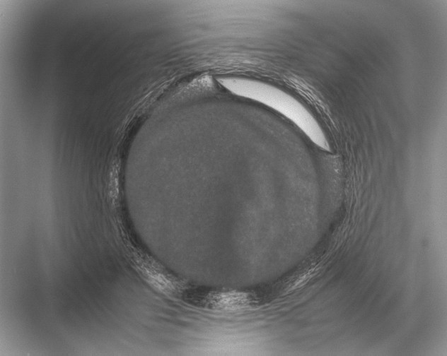 X0000067870501200605041811