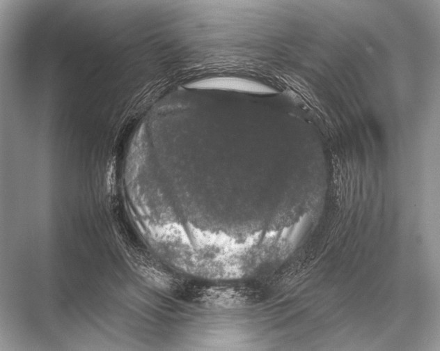 X0000067870502200605041811