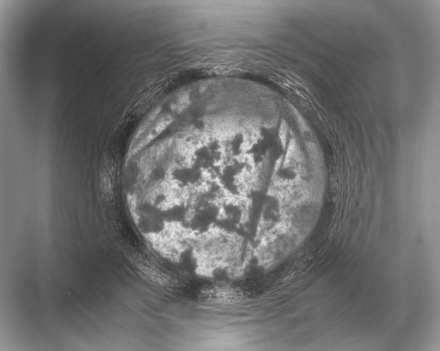 X0000067870503200605041811