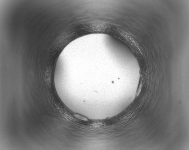 X0000067870505200605041811