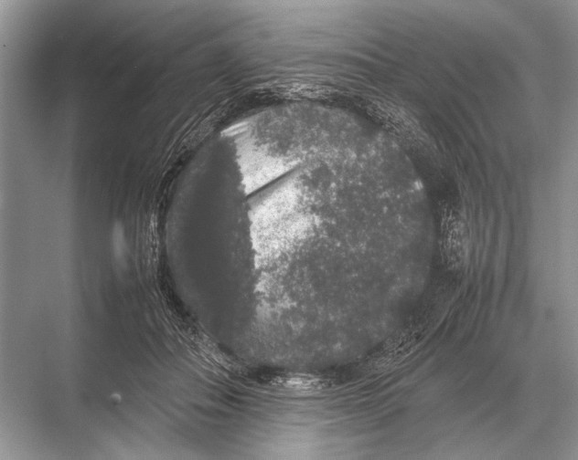 X0000067870506200605041811