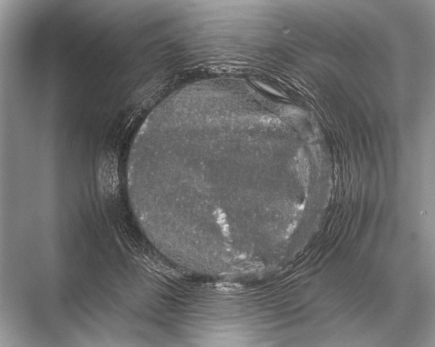 X0000067870508200605041811