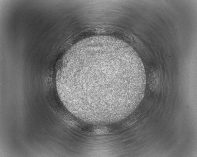 X0000067870510200605041811