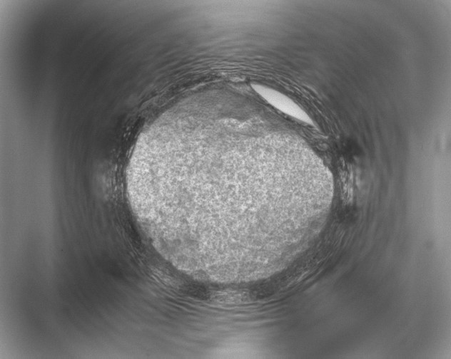 X0000067870511200605041811