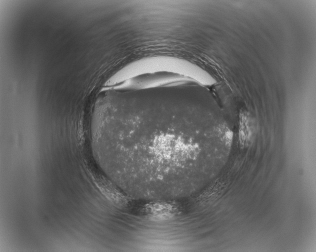 X0000067870512200605041810