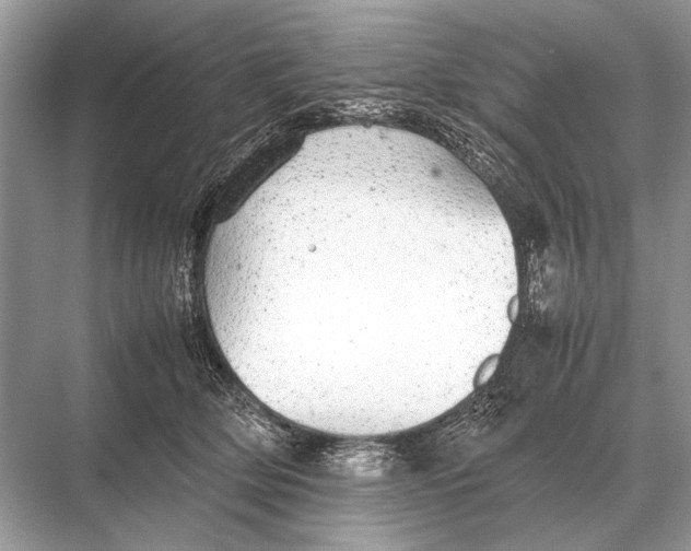 X0000067870514200605041810