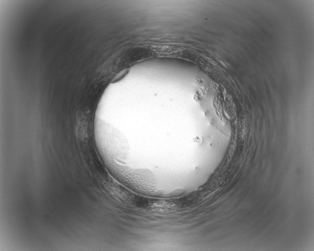 X0000067870515200605041810