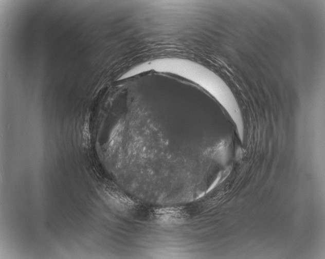 X0000067870516200605041810