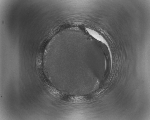 X0000067870517200605041810