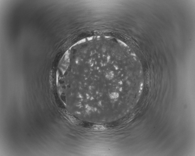 X0000067870519200605041810