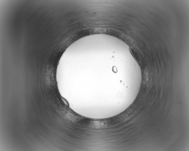 X0000067870522200605041810