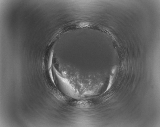 X0000067870524200605041810