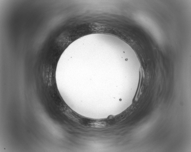 X0000067870525200605041810