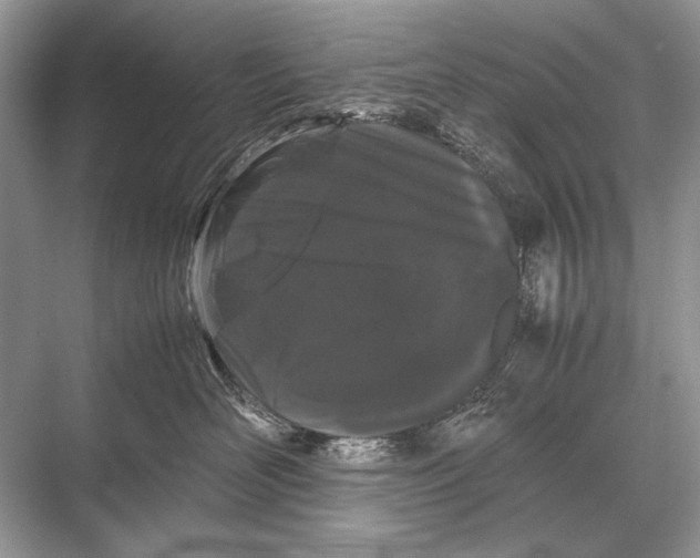 X0000067870526200605041810