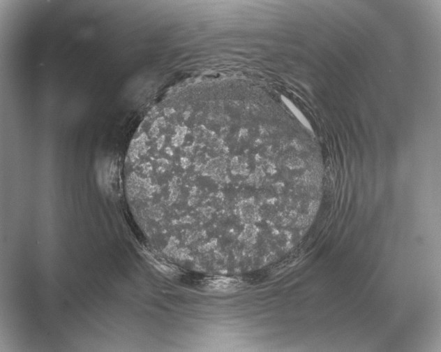 X0000067870527200605041810