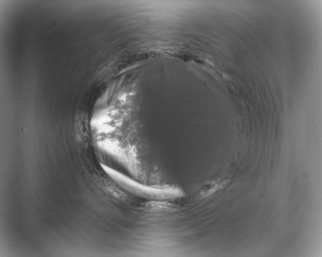 X0000067870528200605041810